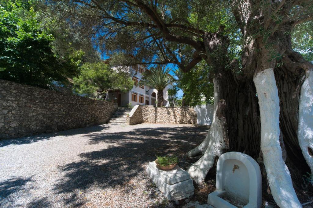 Ilios Studios Lefkáda Dış mekan fotoğraf
